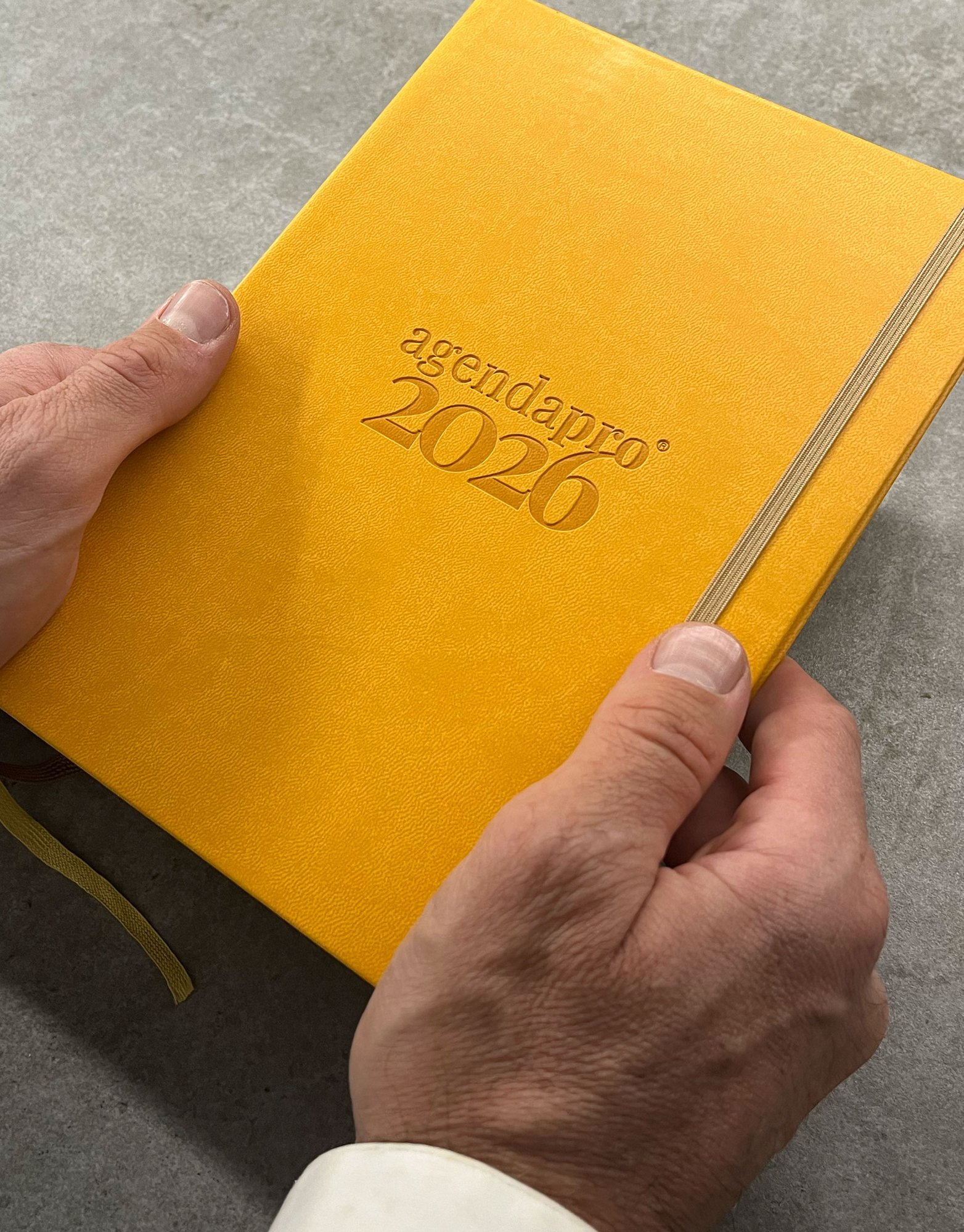 agendapro2026-2 agendapro2026-2